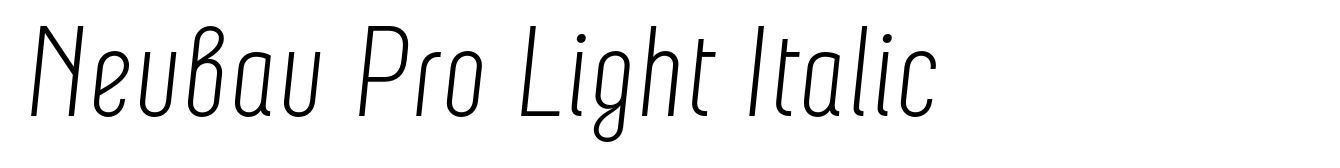 Neubau Pro Light Italic